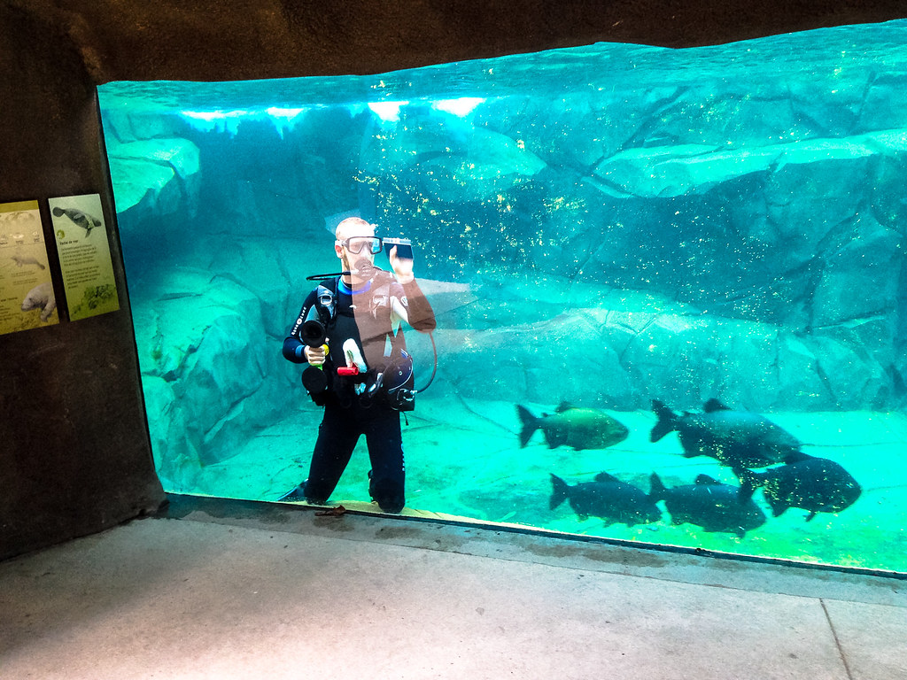 Santa Claus dives into hot climate issue in Paris aquarium