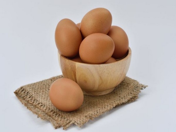 Study finds increased consumption of eggs in children decreases egg allergy