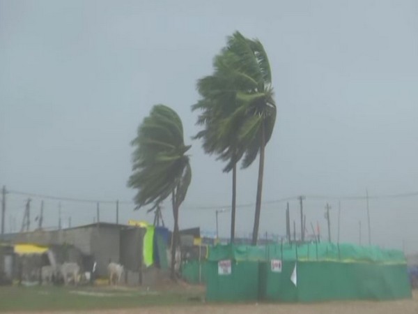 Andhra: Mandal-level rapid action teams deployed to mitigate cyclonic storm Michaung's impact