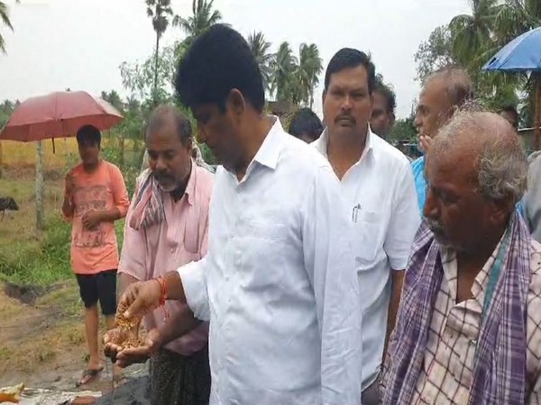 AP: Govt will purchase every grain, ensuring no farmer incurs losses due to cyclone: YSR Congress Party MLA 