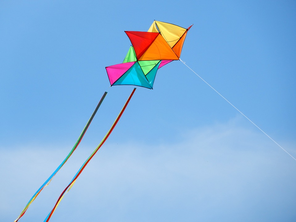 Makar Sankranti: Mumbai cops ban nylon kite strings; cite hazard for humans as well as birds