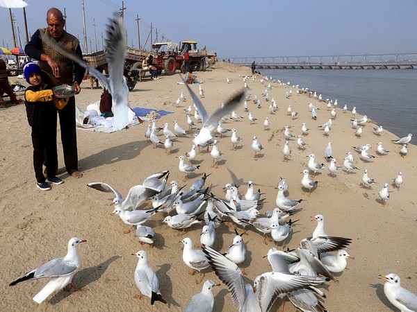 Government confirms bird flu cases in Rajasthan, Madhya Pradesh, Himachal Pradesh, Kerala