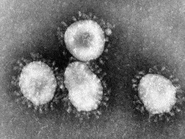 Experts warn against prescribing steroids to treat coronavirus patients