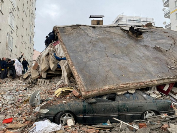 Engineers, search dogs sent to Turkiye, Syria after quake