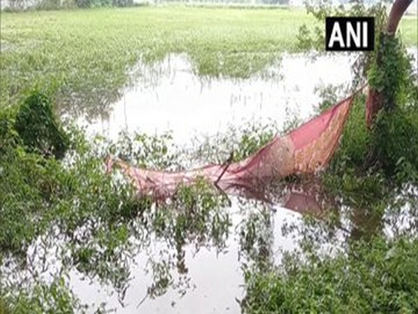 Unseasonal rainfall hits Maharashtra's Nashik, crops damaged