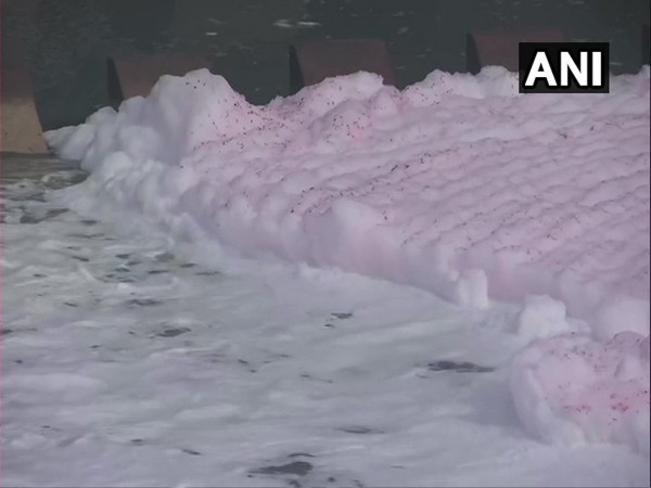 Toxic foam floats near Yamuna River bank in Delhi