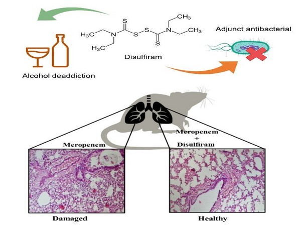 IIT Roorkee researchers discover molecule, it targets Carbapenem resistance in bacterial pathogens