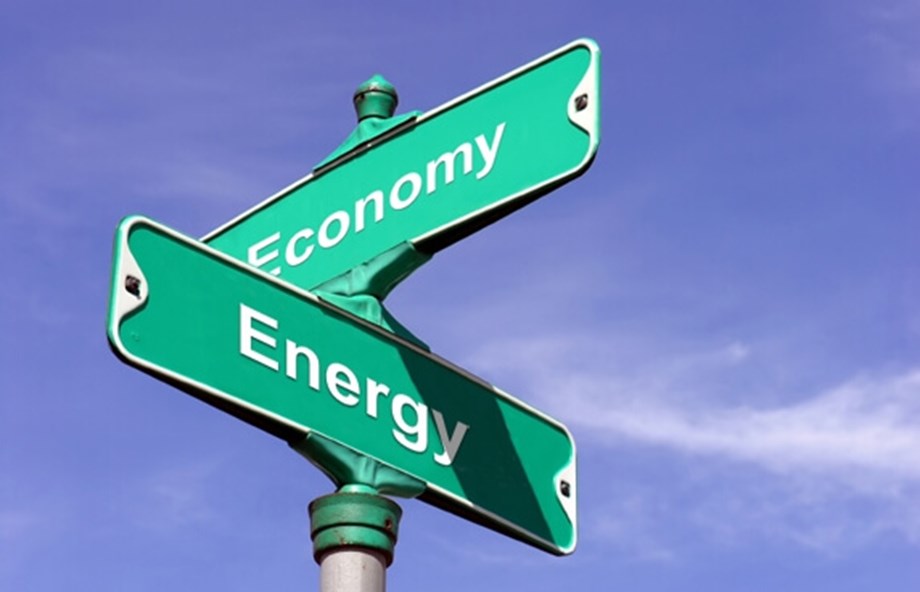 Powering Prosperity: The Dynamic Link between Energy Intensity and Economic Growth