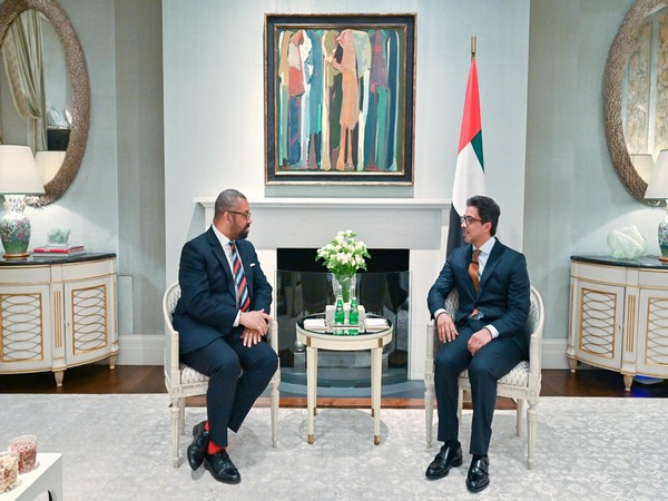 UAE Vice President Mansour bin Zayed meets British Foreign Secretary James Cleverly