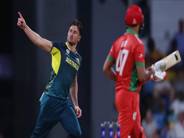"He is class apart": Marcus Stoinis sings David Warner's praise after Australia's win 