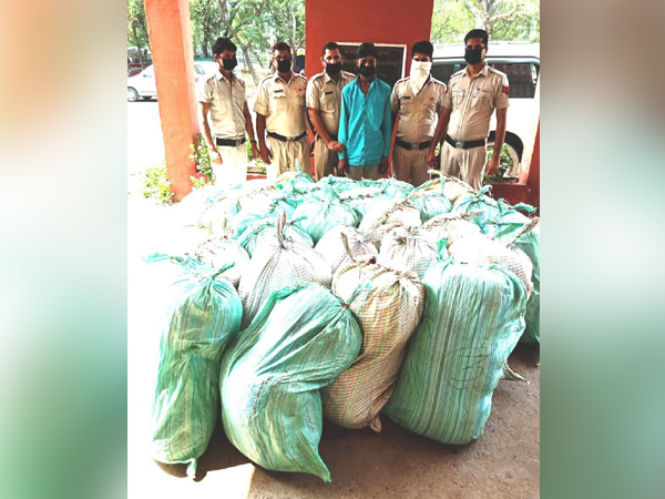 Haryana Police seizes 822 kg Ganja from truck in Nuh, one held