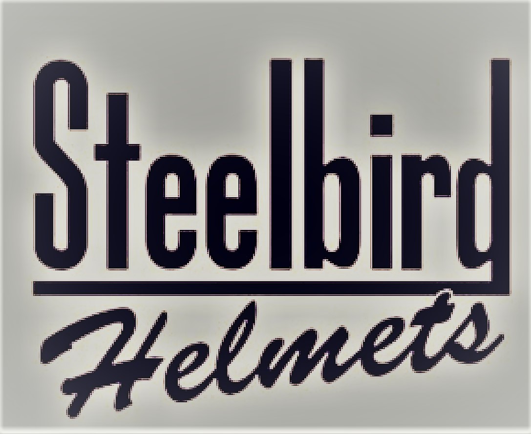 Helmet maker Steelbird offers to set up plant in J&K