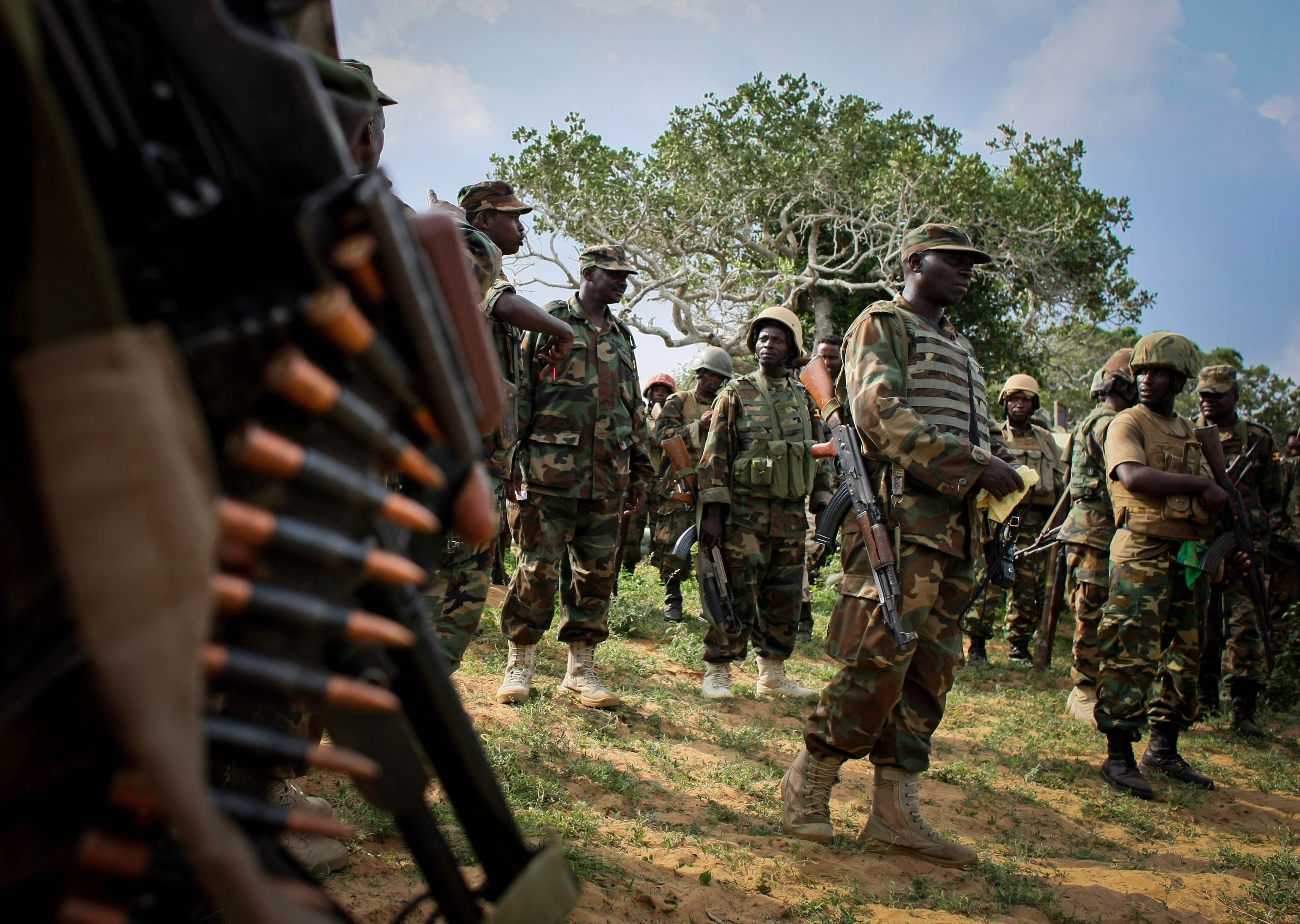 Mozambique: 270 Islamist terrorists killed in Awasse region, forces claim