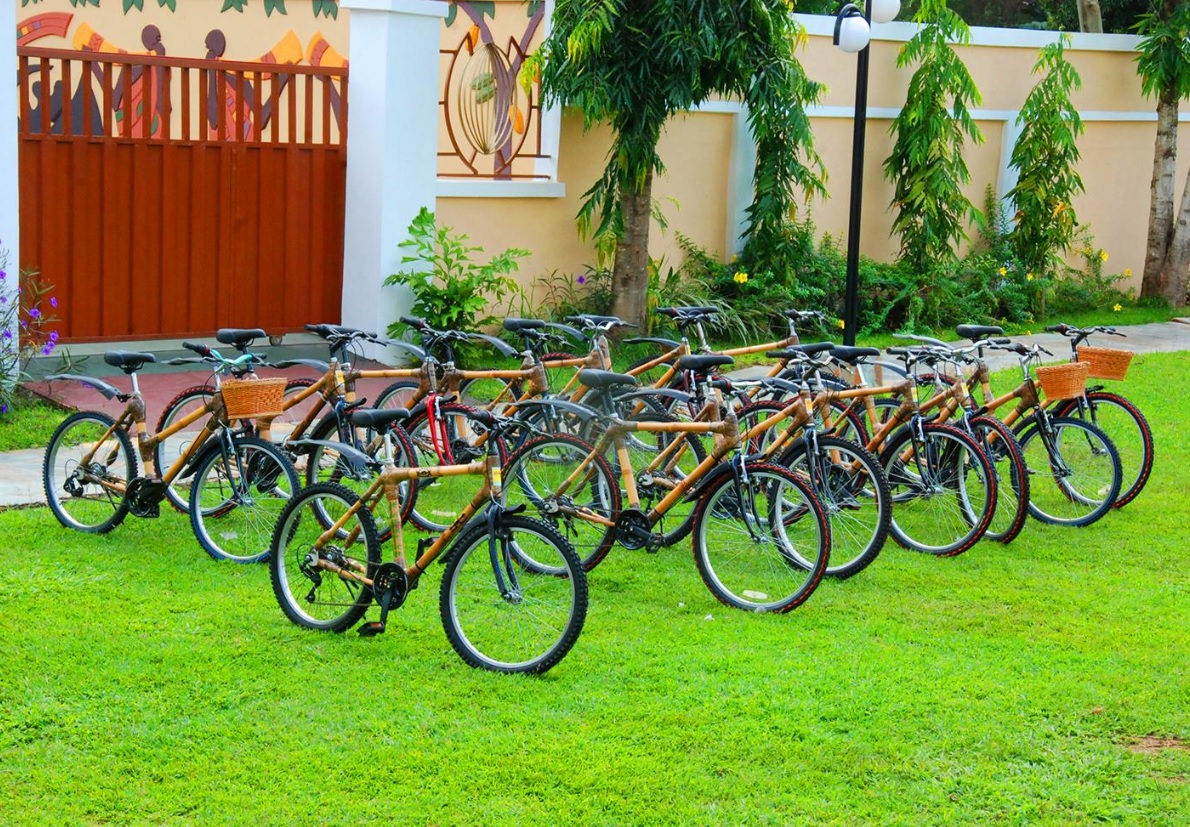 Project of making bamboo bicycles in Ghana on agenda at World Economic Forum on Africa