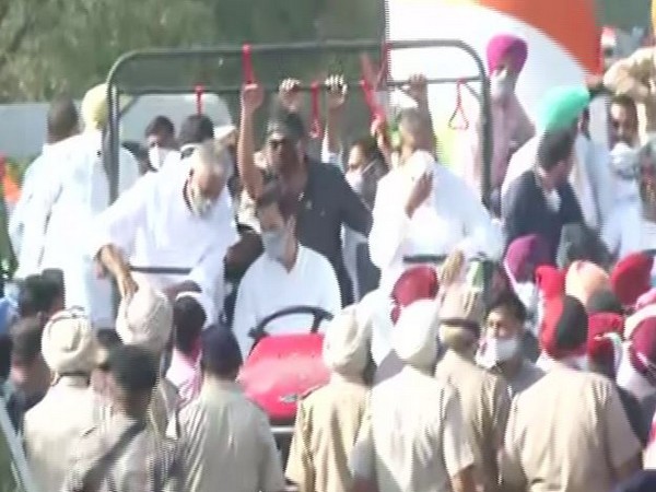 Rahul Gandhi drives tractor as part of Congress' 'Kheti Bachao Yatra' in Punjab