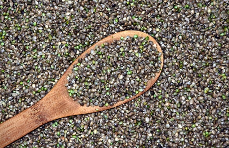 New Zealand to allow sale of hemp seed as food