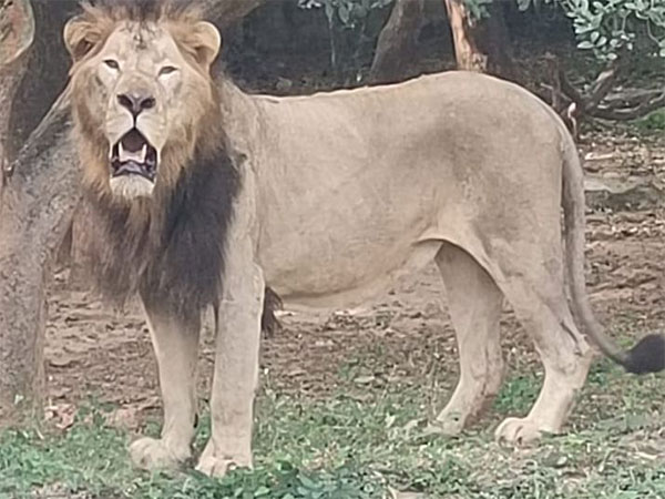 Pilikula Biological Park Welcomes Rare Animals from Nandan Kanan Zoo