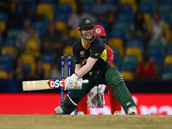 David Warner Leads Sydney Thunder in BBL Return