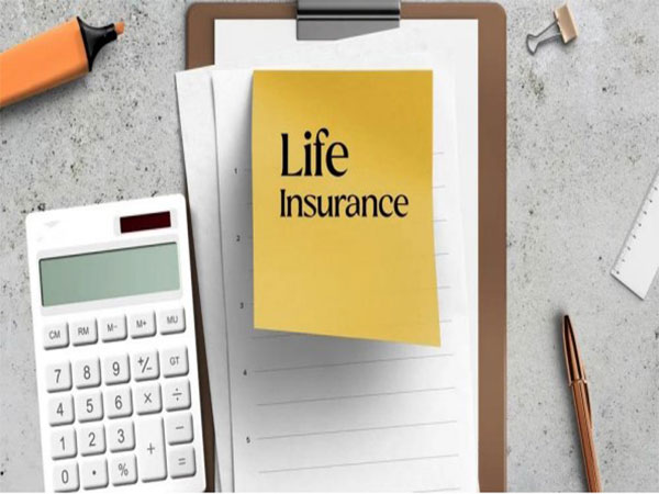 India's Life Insurance Sector Set for Transformative Growth