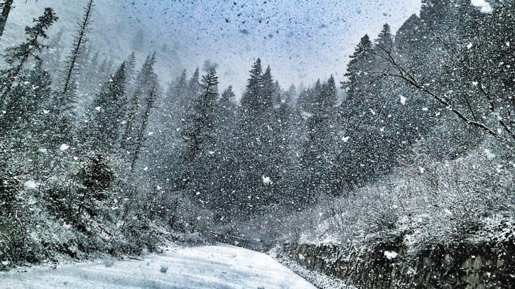 Fresh snowfall, rains adversely affect life across Jammu and Kashmir
