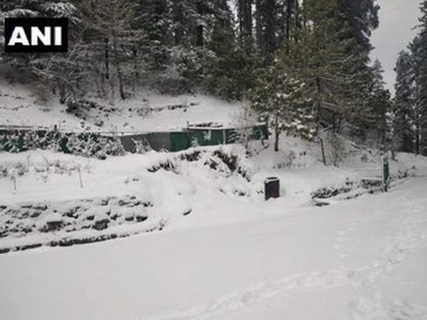 170 stranded in HP's Lahaul-Spiti due to snowfall
