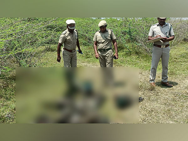Tamil Nadu: Nearly 40 peacocks found dead in Madurai district