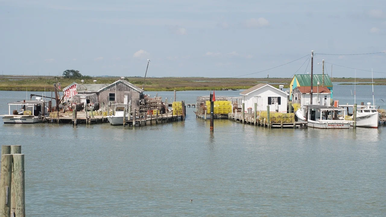 FEATURE-As sea levels rise, can Chesapeake Bay's Tangier Island survive?