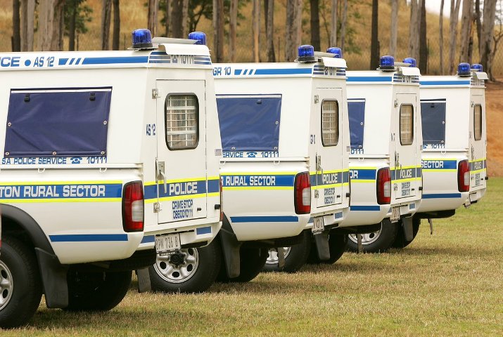 Gauteng's crime prevention wardens to report for duty
