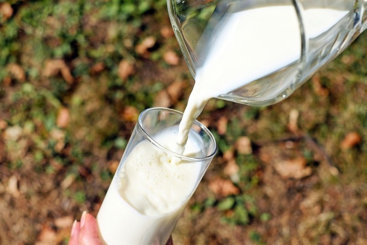 Goat milk formula can benefit infant gut health: Study