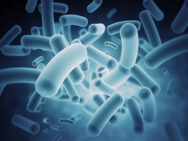Study explores role of the gut microbiota in inflammatory skin diseases