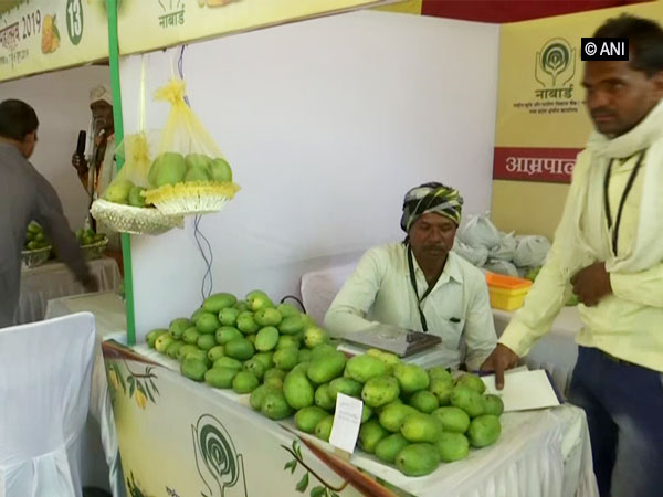In Bihar, mangoes get mired in political controversy