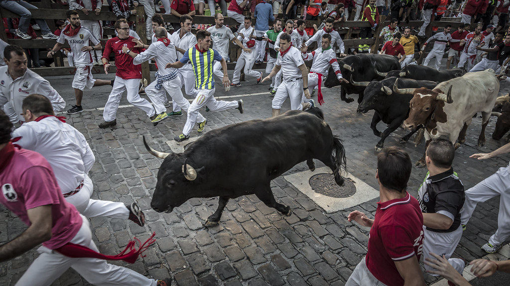 Bulls run in Spain's Pamplona for 1st time since 2019; no one gored