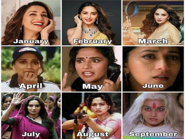 Madhuri Dixit takes 2020 challenge, shares quirky collage featuring different moods
