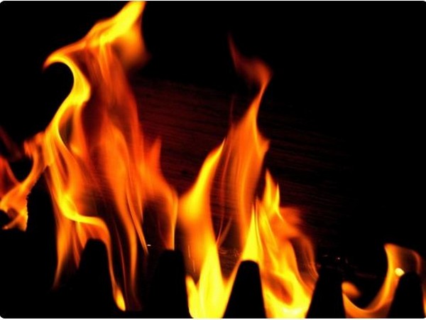 Maha: Two flats gutted in fire at high-rise building in Kalyan; no casualty