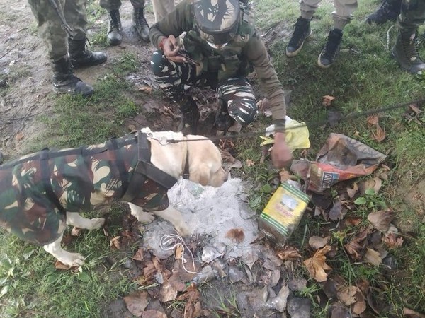 IED detected by CRPF in Kupwara diffused by bomb disposal squad