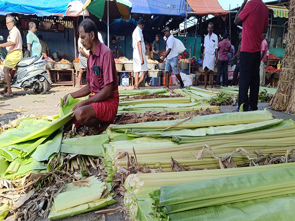 Banana Leaf Prices Surge Amidst Festive Demand in Tamil Nadu