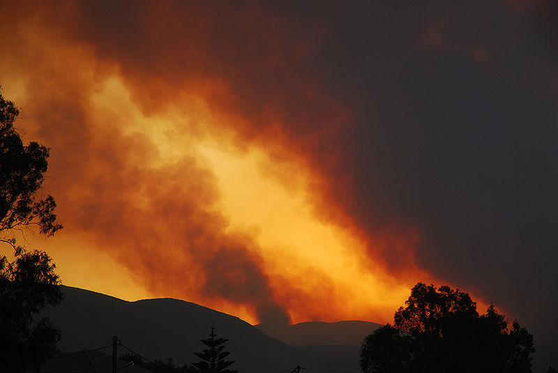 Forest fire spreads in Turkey's Gallipoli peninsula