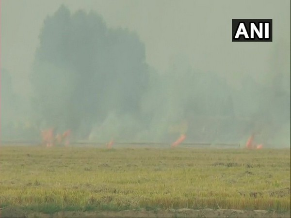 Stubble burning: Environment ministers of Delhi, 4 neighbouring states to meet on Oct 1