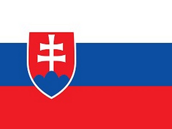 Slovak parliament opens way to September early election