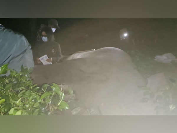 Wild elephant found dead at tea estate in Assam's Sonitpur