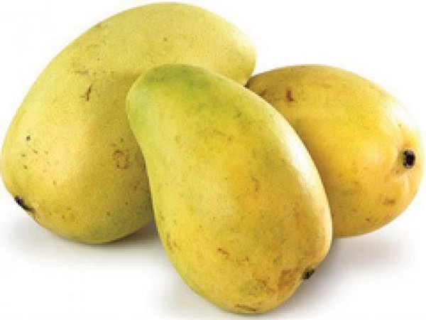 Indian mangoes & pomegranates get market access in the USA