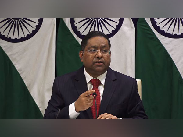 "No foul play, no interconnectedness": MEA on deaths of Indian students in US