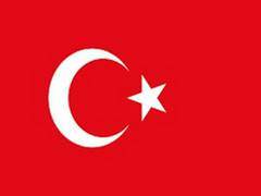 Turkey starts testing plasma therapy as potential COVID-19 treatment