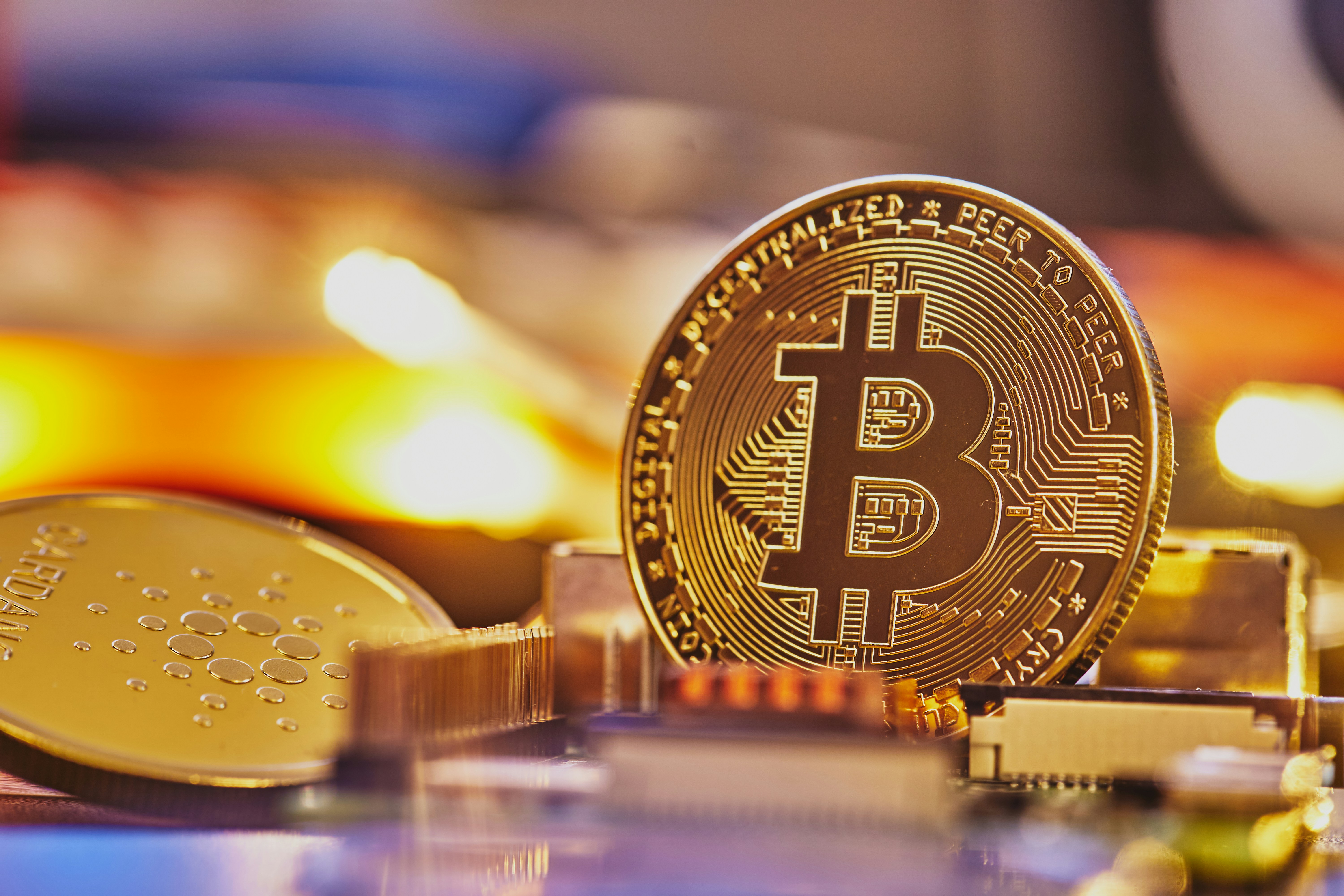 Examining the Impact of Bitcoin on Global Literary Trends