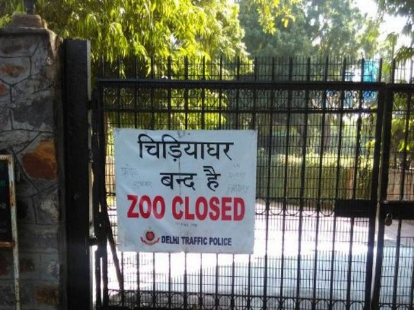 Delhi zoo sends samples of some animals for COVID-19 testing at IVRI Bareilly 