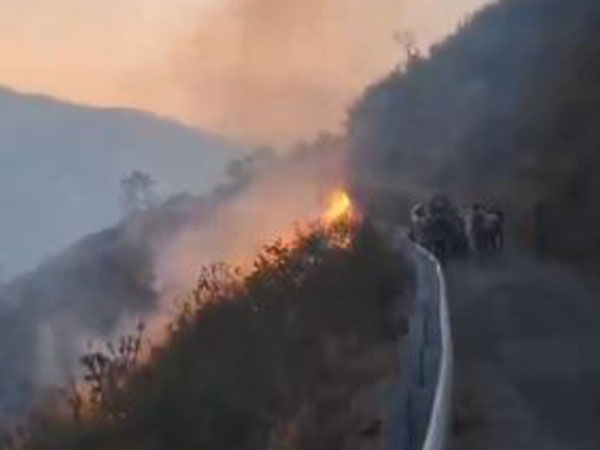 Uttarakhand government takes action against 17 employees for negligence in controlling forest fires