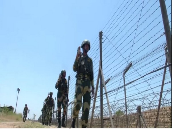 Pakistan intruder held along Indo-Pak border
