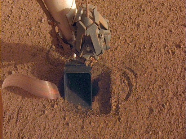 InSight flexes its arm while its 'Mole' hits pause