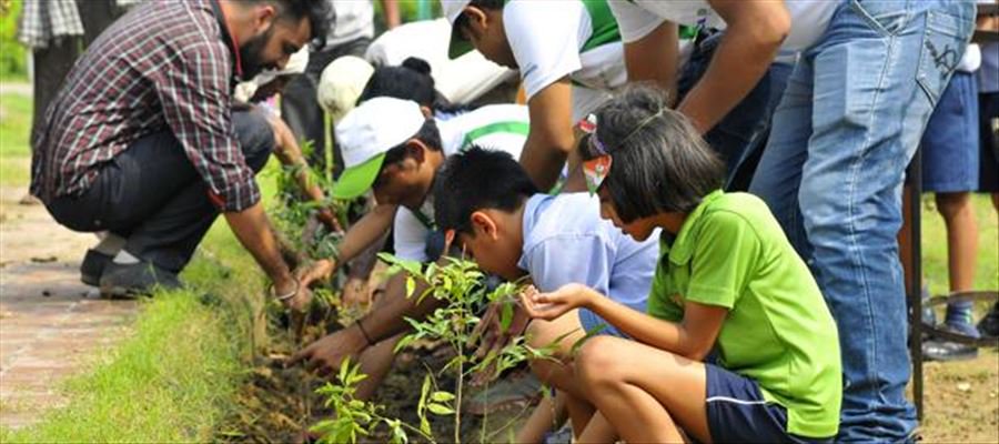 Over 10,000 saplings planted by NDMC; geo-tagging, block chain tech to be used for monitoring