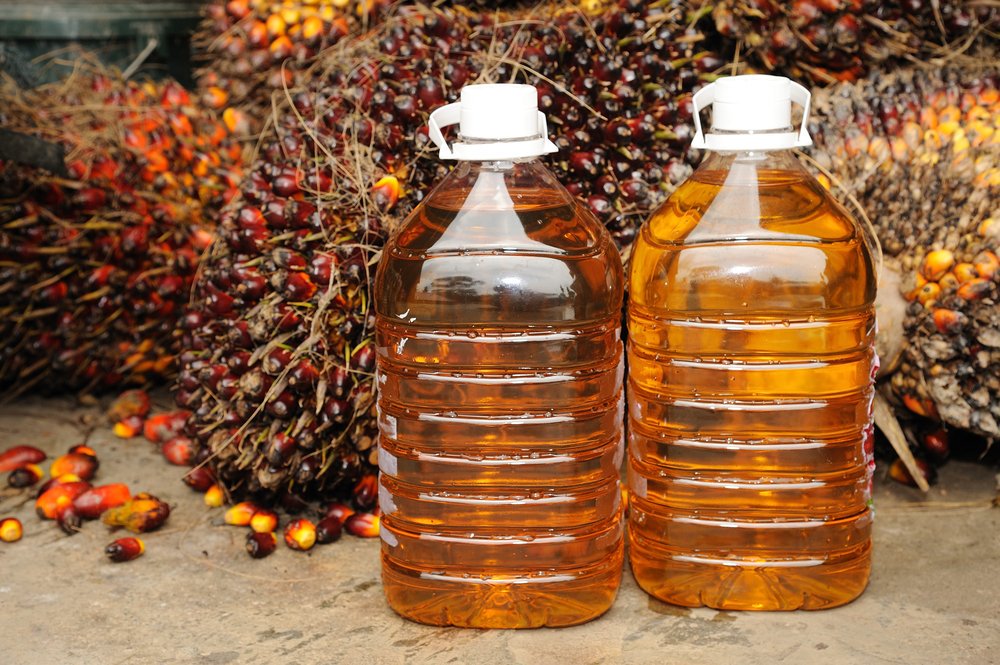 India's oilmeal exports rises 9 per cent to 14.03 lakh tonne